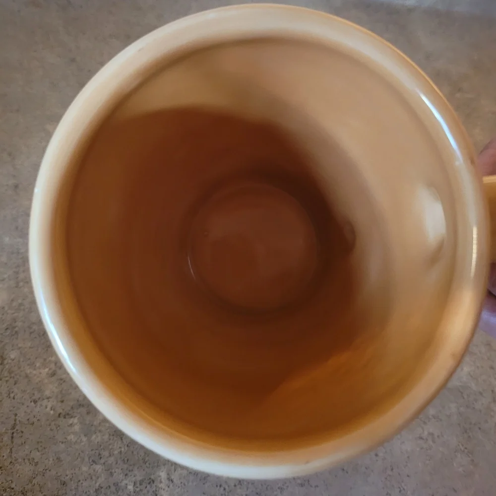 Pottery Barn Amber Mug